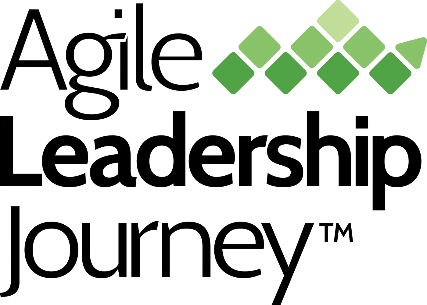 Agile Leadership Journey